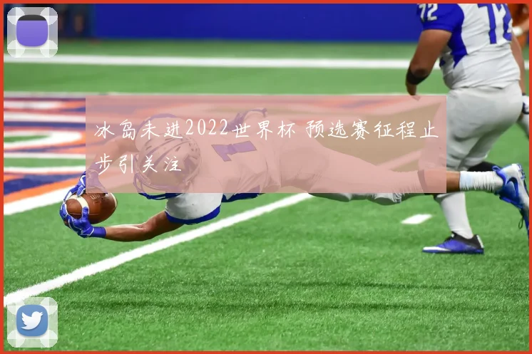 冰岛未进2022世界杯 预选赛征程止步引关注